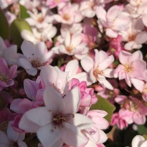 Meet your Posher, Madelyn